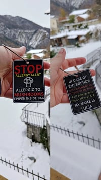 EMERGENCY TRAVEL TAG