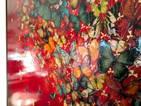 Image 2 of Original Canvas - Butterflies on Crimson - 40" x 40"