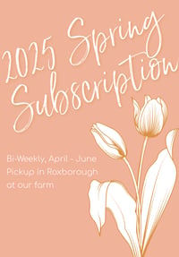 Image 1 of 2025 Spring Flower Subscription