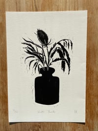 Image 2 of Winter Thistle 