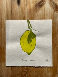 Image 2 of Amalfi Lemon - mid green
