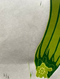 Image 3 of Courgette