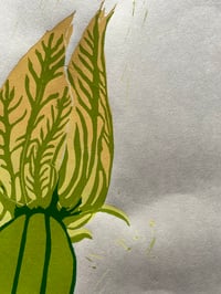 Image 4 of Courgette