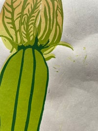 Image 5 of Courgette