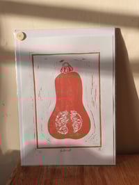 Image 3 of Butternut