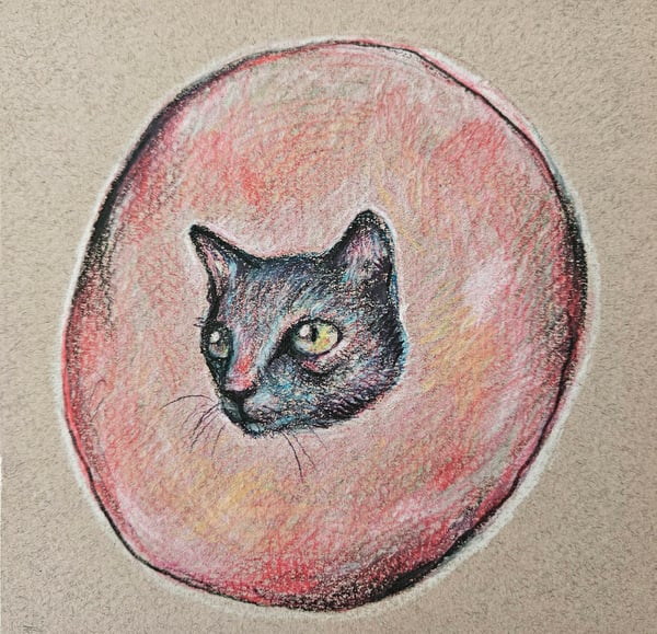 Image of "Cat Bubble (30% off until Dec. 31-Apply code)