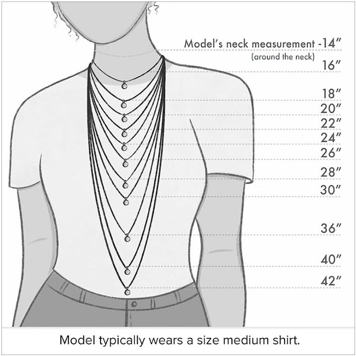 Image of The Bib Necklace