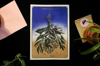 Image 2 of Risographie Herbier