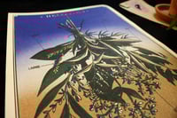 Image 1 of Risographie Herbier