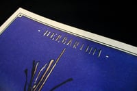 Image 3 of Risographie Herbier