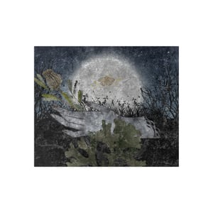 Image of Under Cover of Darkness | Crushed Velvet Throw Blanket