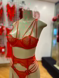 Image 1 of Fine Lines Lingerie Set