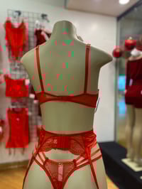 Image 4 of Fine Lines Lingerie Set