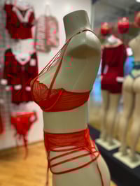 Image 3 of Fine Lines Lingerie Set