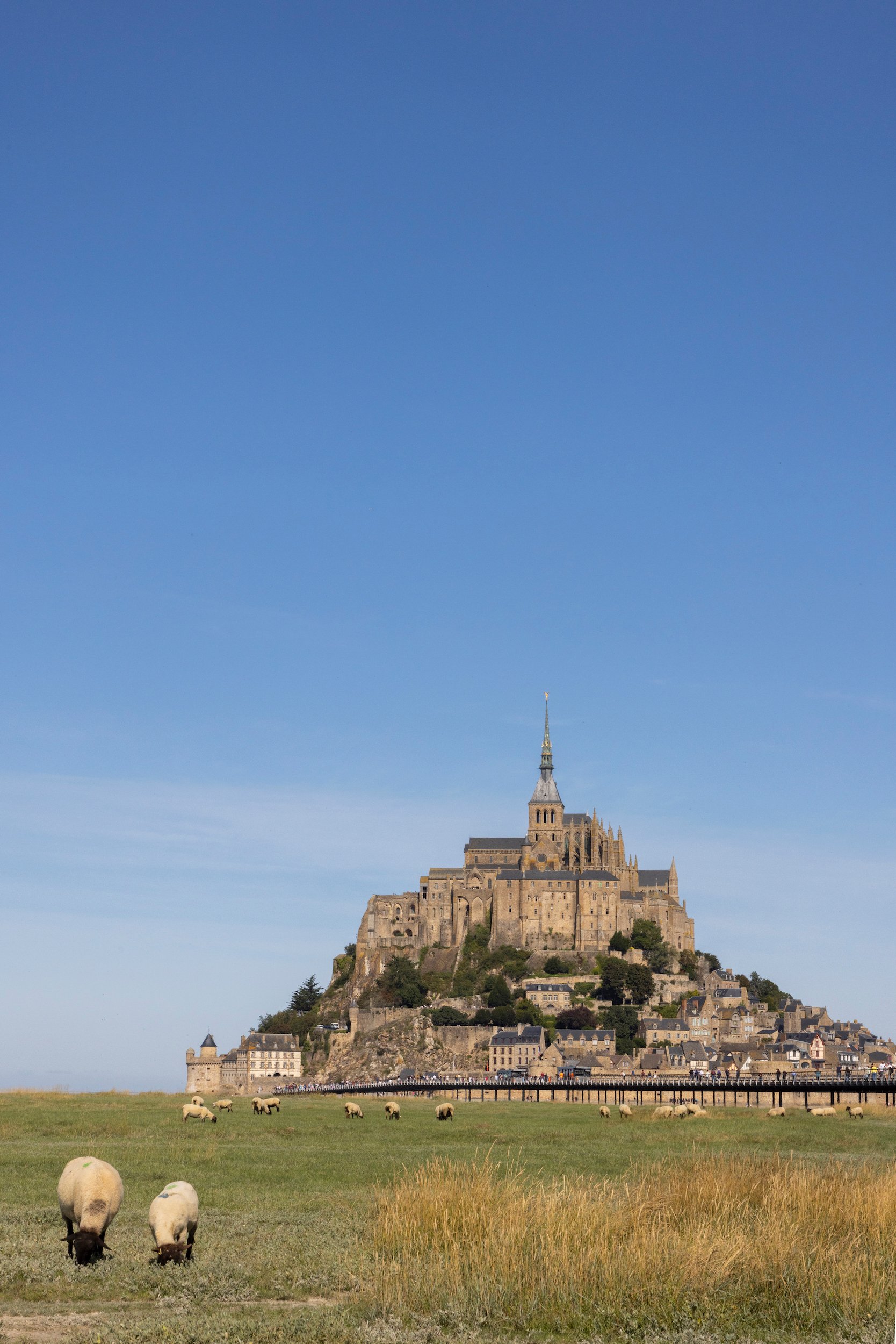 Image of LE MONT SAINT MICHEL LOCALS I