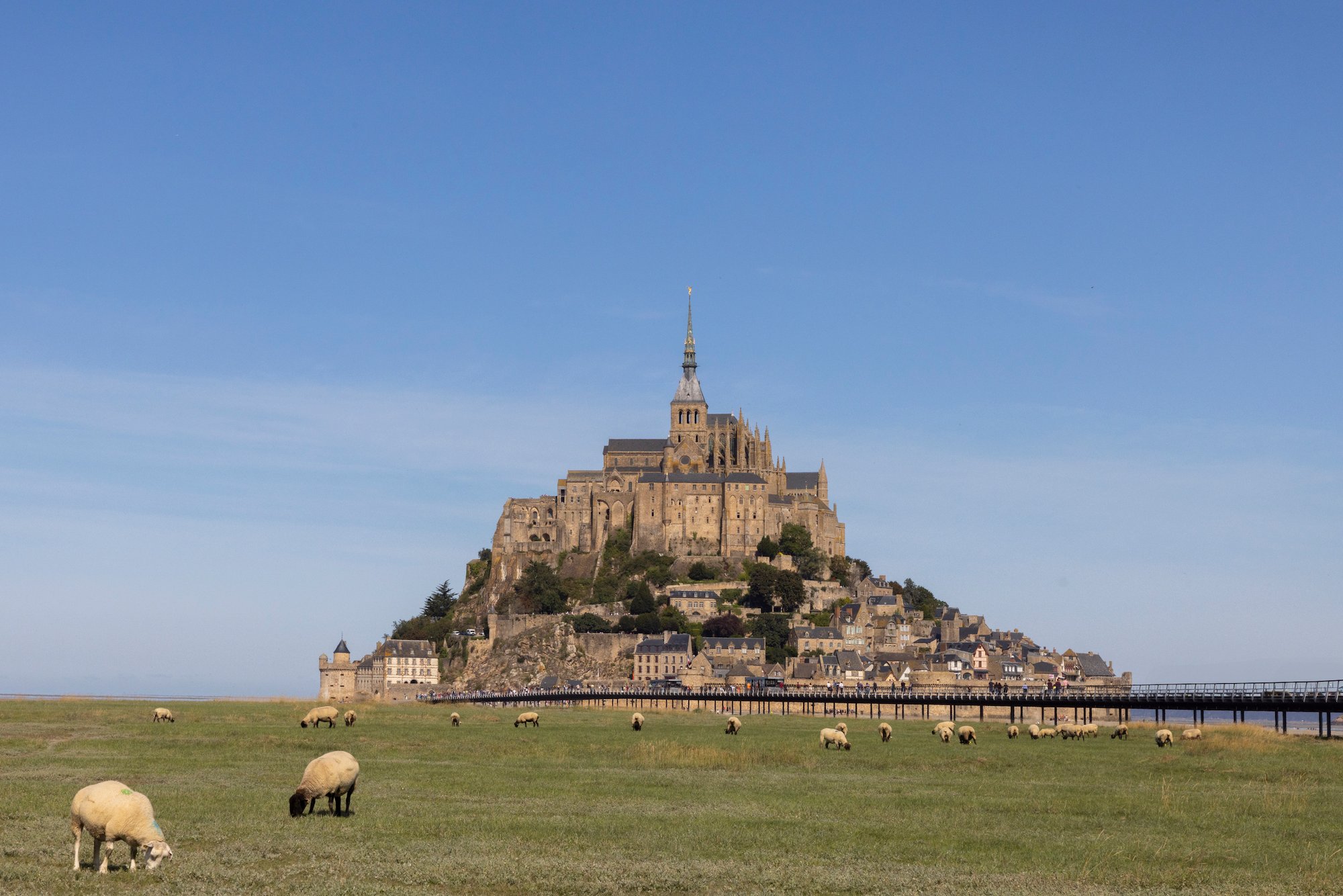 Image of LE MONT SAINT MICHEL LOCALS II