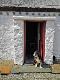 Welcome At The Door