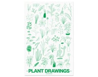 Plant Drawing Print