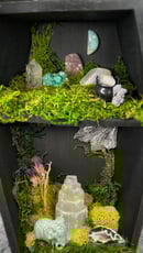 Image 3 of Coffin & Star Oddity Shelf