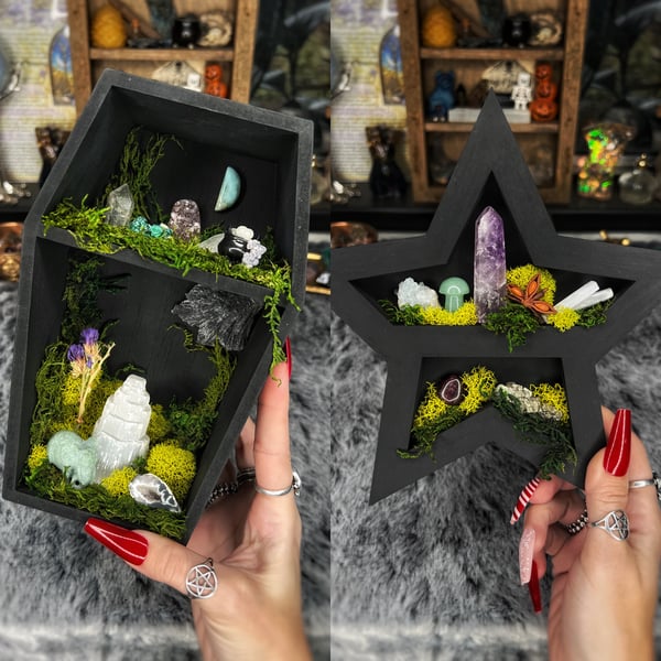 Image of Coffin & Star Oddity Shelf