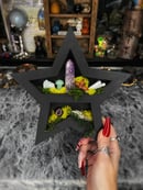 Image 4 of Coffin & Star Oddity Shelf