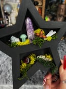 Image 5 of Coffin & Star Oddity Shelf