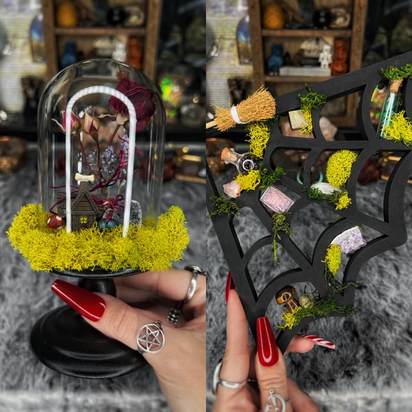 Image of Oddity Display
