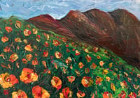 Image 2 of California Poppies Superbloom