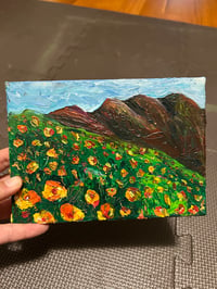 Image 1 of California Poppies Superbloom