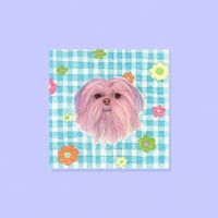 BB Shih tzu - original mini drawing