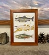 Custom Framed Ghost Salmon Small Prints