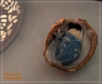 Image 3 of Holy Night Babies