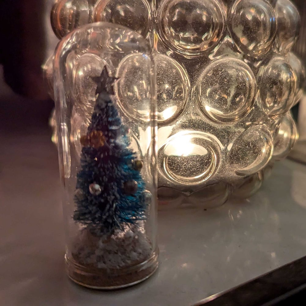 Christmas Tree in a Bell Jar 