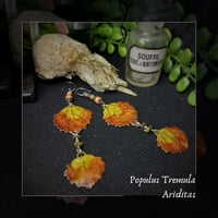 Image 1 of ☽ Populus Tremula Ariditas ☾