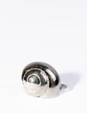 Caracol Shell Necklace - Silver or Gold