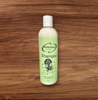 Image 1 of Hydrating Aloe Shampoo 