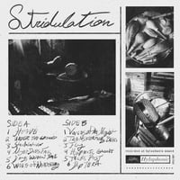 Image 2 of Vinyl Adam Bradley Schreiber - Stridulation 