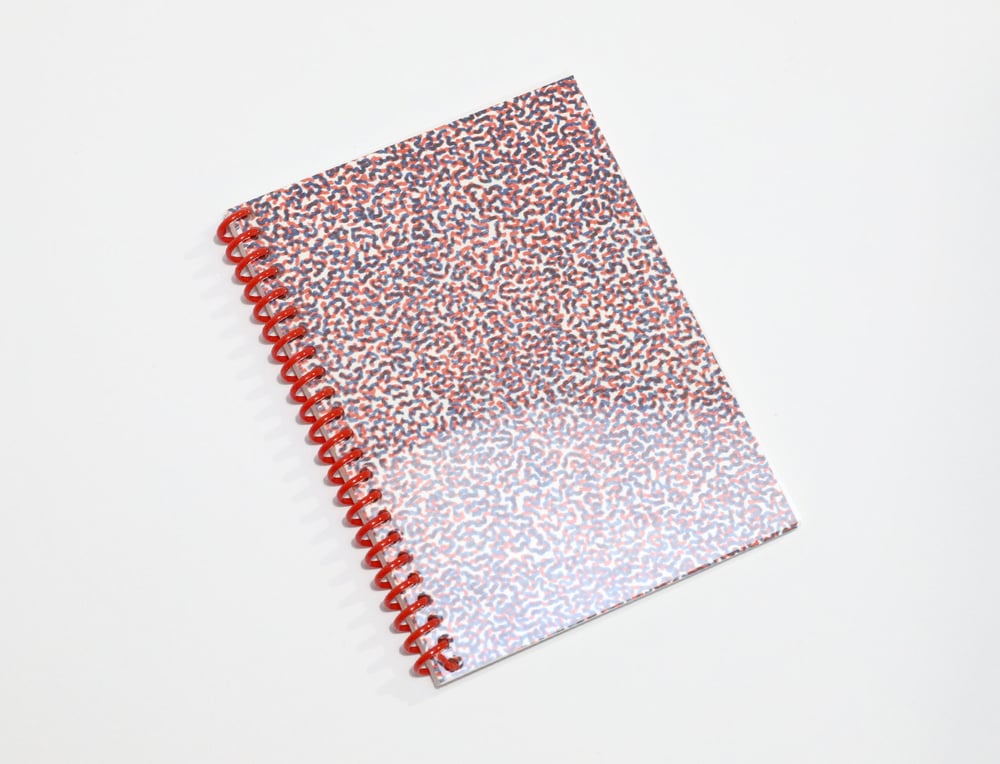 Image of COLOR RASTER NOTEBOOK