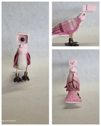 Image 1 of Pink, Blue, and Black Headed Birds