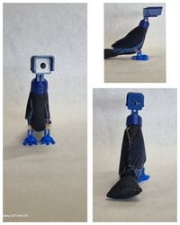 Image 2 of Pink, Blue, and Black Headed Birds