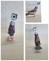 Image 1 of Silver, Red Legged , Yellow,  and Copper Headed Birds