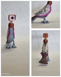 Image 4 of Silver, Red Legged , Yellow,  and Copper Headed Birds