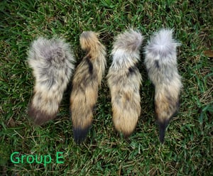 Image of Scrap Coyote Tails