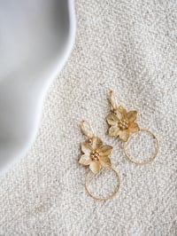 Image 4 of Petites Boucles d'Oreilles NIRISSE