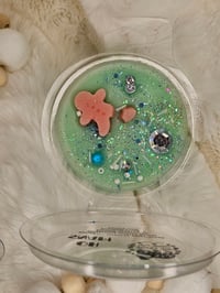 Image 13 of OH SNAP! - an Exculsive Rockytop wax works  houseblend fragrance 