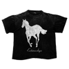 DEFTONES WHITE PONY T-SHIRT