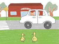 Image 2 of Ducks crossing