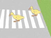 Image 5 of Ducks crossing