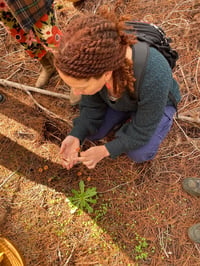 Image 5 of Half A Day Foraging Workshop <br> ( 3- HOURS )</br>