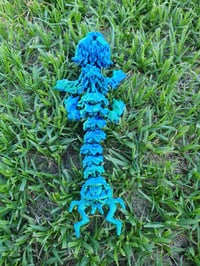 Image 3 of Baby Storm Dragon